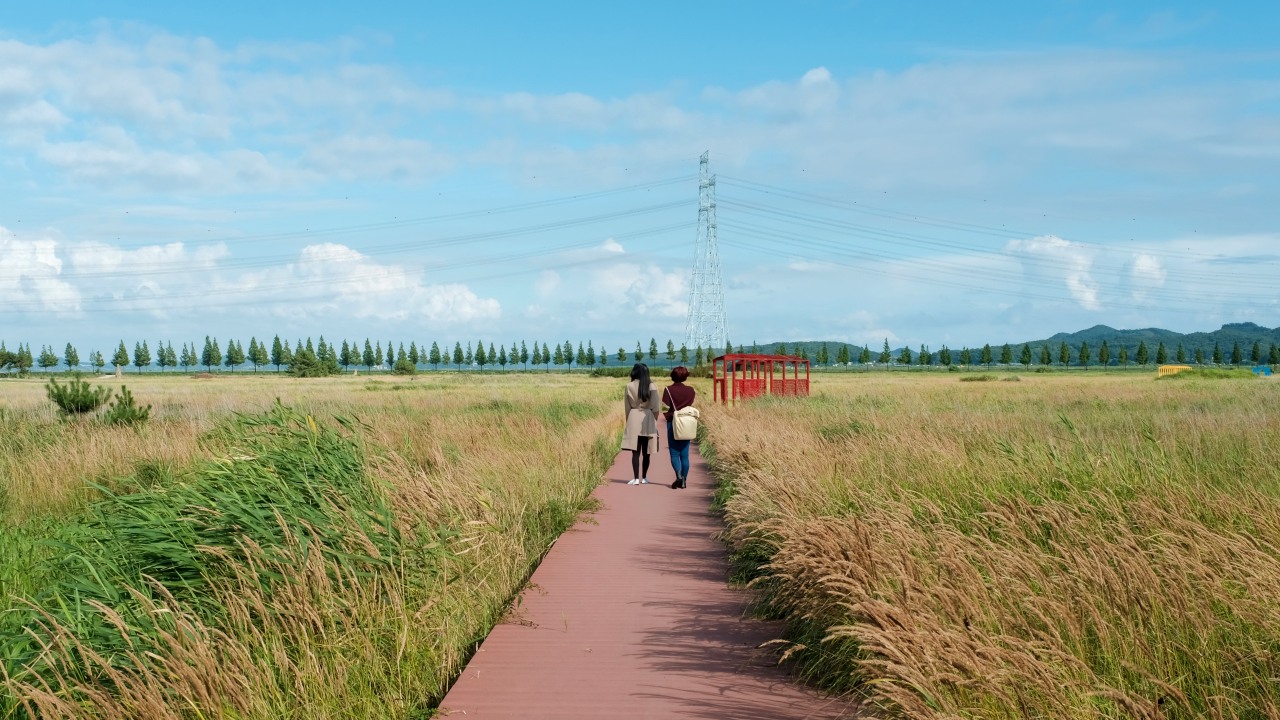 엄마와 딸을 위한 디지털디톡스 아일랜드 1박 2일(2인 패키지)