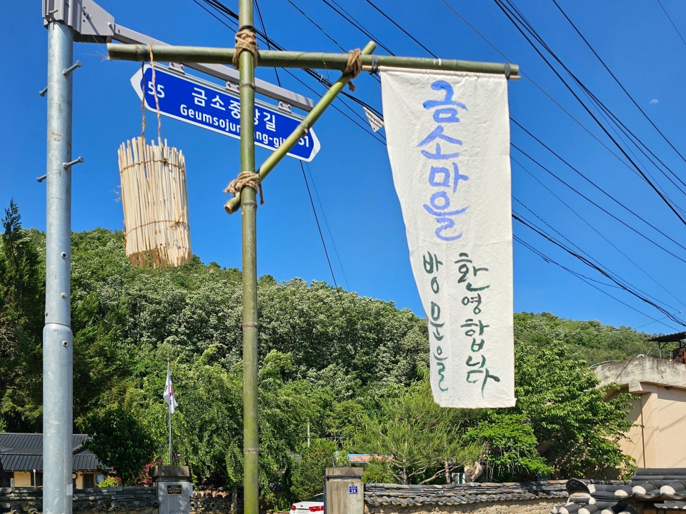 안동 대마민국 금소마을 1박 2일 촌캉스 로컬여행, 금양연화